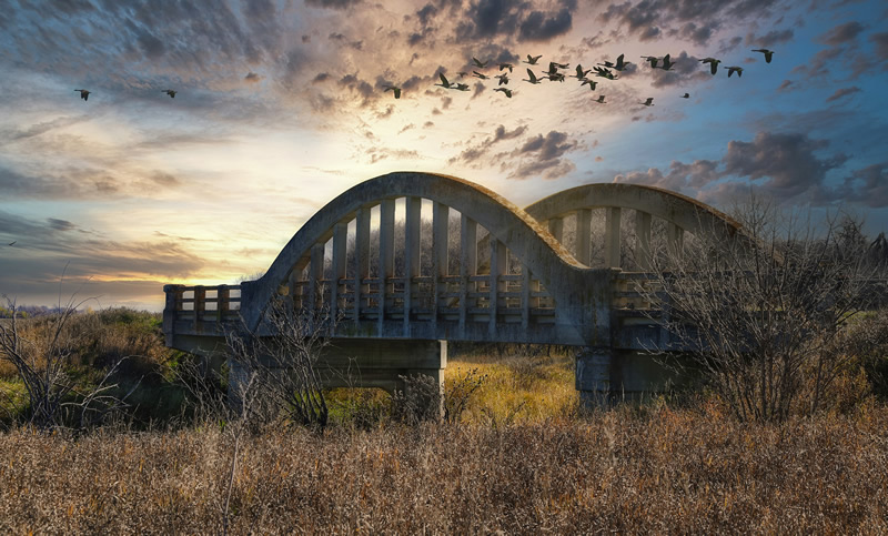 Bridge to Nowhere by Darlene Perkin